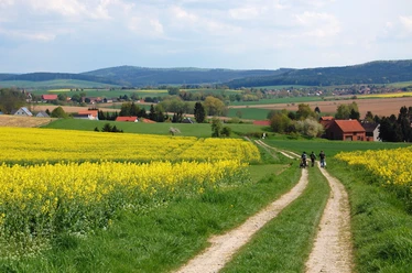 Blick in die Harzbörde