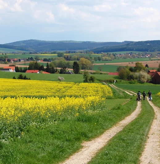 Blick in die Harzbörde