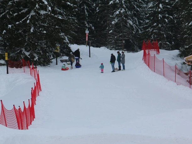 Rodelbahn am Parkplatz am Winterbergtor