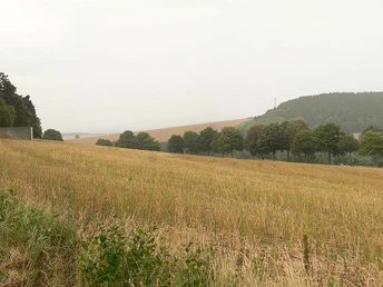 Pass zwischen Harzhorn und Rodenberg