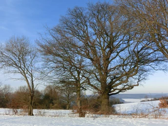 Rastplatz "Drei Eichen"