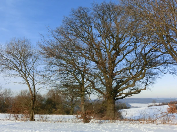 Rastplatz "Drei Eichen"