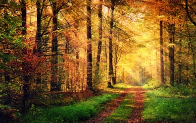 schöner Herbst