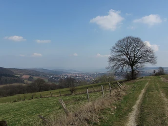 Blick vom Wadenberg