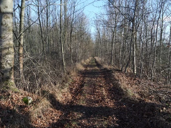 Hinter dem Hochbehälter