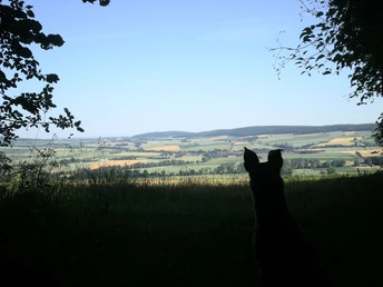 Blick in die Heberbörde