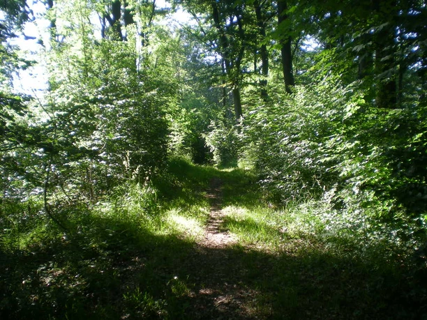 Auf der Schanze
