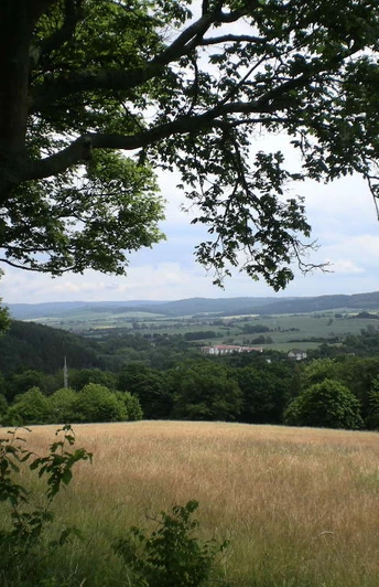 Blick auf Bad Gandersheim