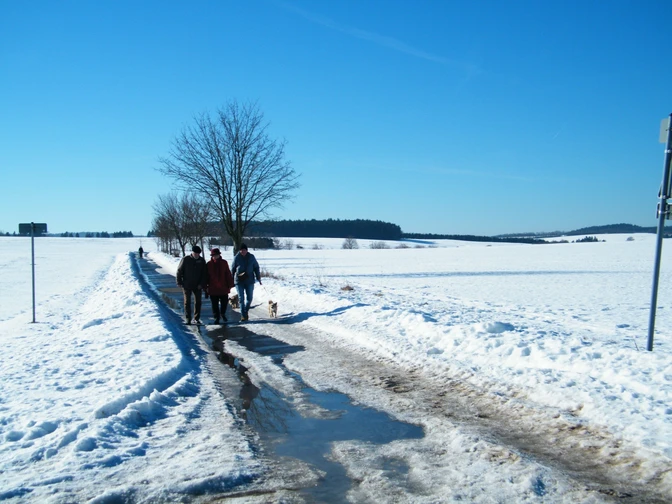 Wandern auf dem Harzweg