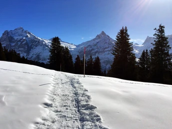 Very beautiful part of the trail!