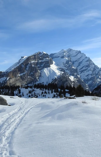 Rückblick Richtung Kandersteg, Fisistock und Gasteretal