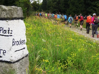 Kollonenweg (Brockenaufstieg über Harzer Grenzweg)