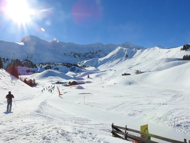 Start auf Undere Elsige