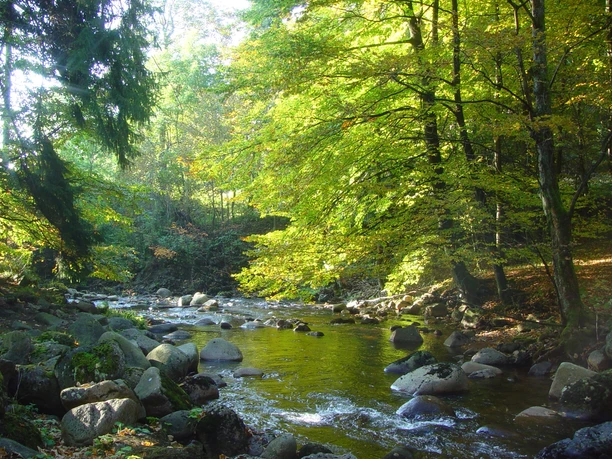 Wild romantic Elendstal