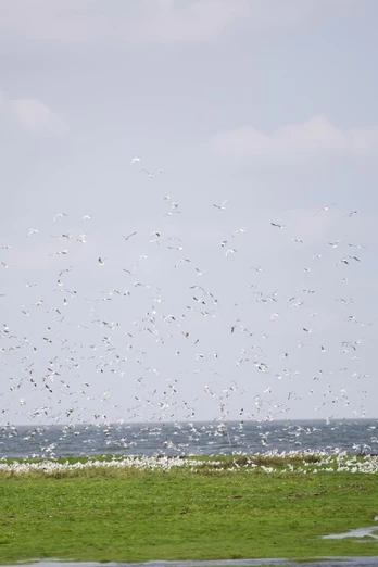 Nordseebad Otterndorf - Cuxland