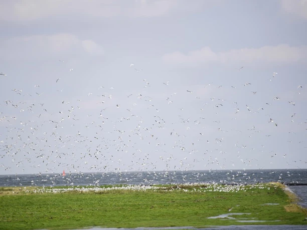 Nordseebad Otterndorf - Cuxland