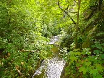 Blick von der Teufelsbrücke
