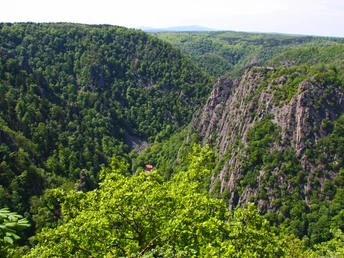 Blick aus der Kabinenbahn ins Bodetal