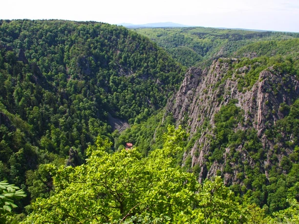 Blick aus der Kabinenbahn ins Bodetal