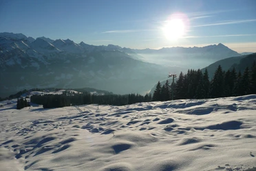 Blick auf den Thunersee