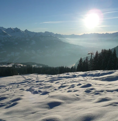 Blick auf den Thunersee