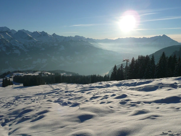 Blick auf den Thunersee