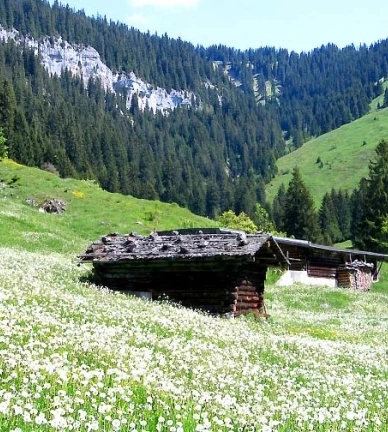 Das Rischerntal im Frühling