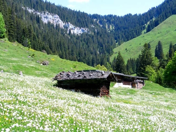 Das Rischerntal im Frühling