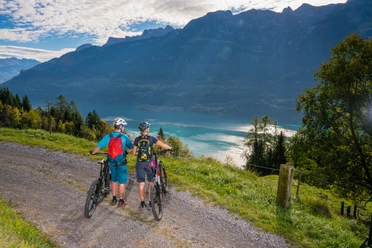 Breathtaking panorama over Lake Brienz