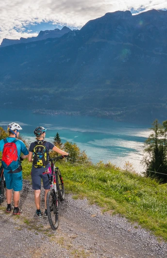 Breathtaking panorama over Lake Brienz