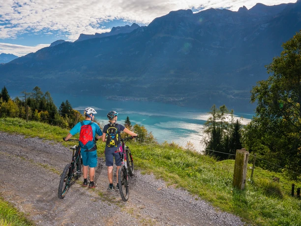 Atemberaubendes Panorama über den Brienzersee