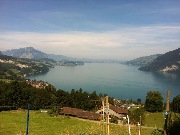 Blick auf den Thunersee von der Meielisalp