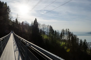 View of lake and mountains suspension bridge Leissigen