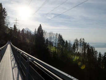 Blick auf See und Berge Hängebrücke Leissigen