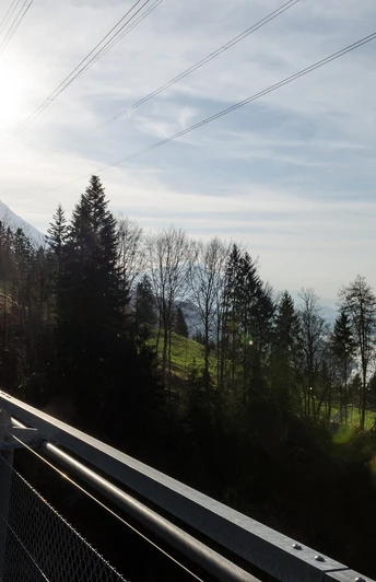 Blick auf See und Berge Hängebrücke Leissigen
