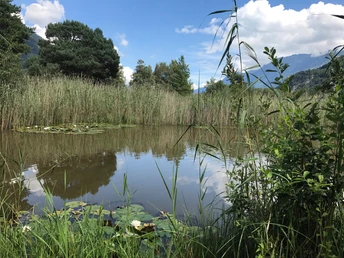 Wasserau nature reserve