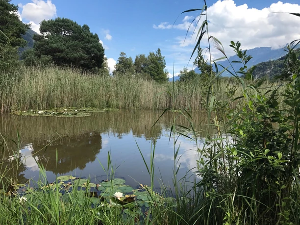 Wasserau Naturschutzgebiet
