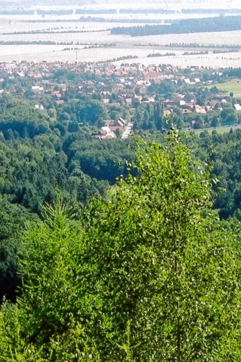 Blick vom Ripperberg