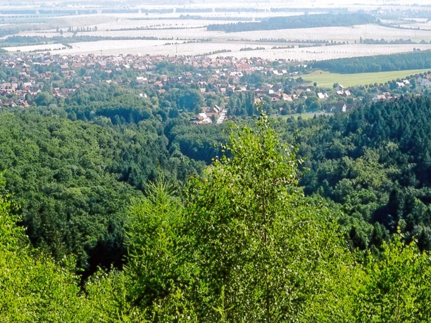 Blick vom Ripperberg