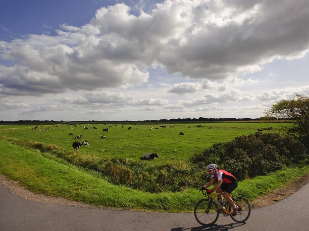 Durch die Fehnlandschaft in Richtung Leer