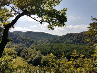 Blick über das Bodetal