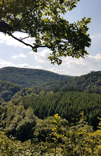 Blick über das Bodetal
