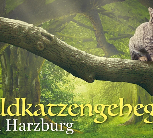Wildkatzengehege Marienteichbaude