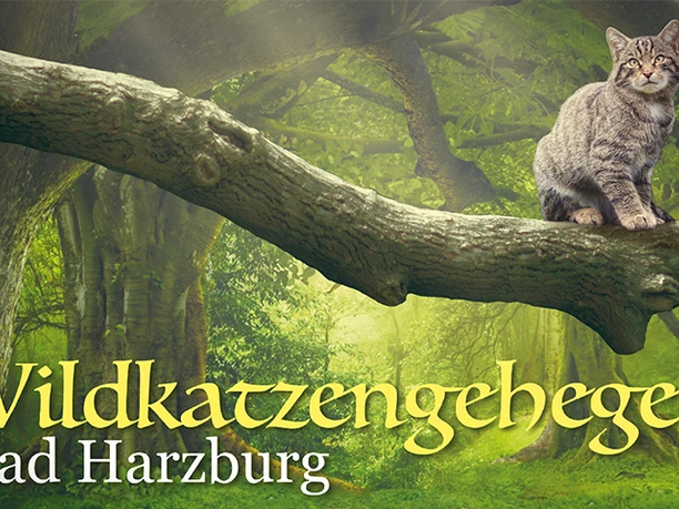 Wildkatzengehege Marienteichbaude