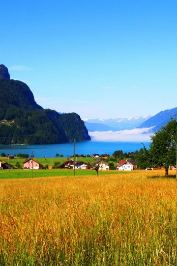 Brienzersee von Kienholz aus