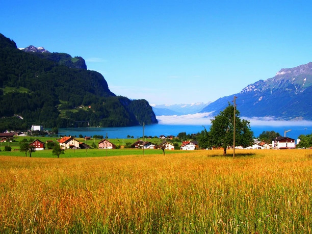 Brienzersee von Kienholz aus