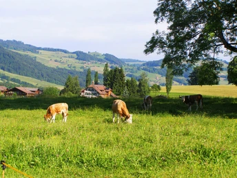 idylle rurale près de Schubhus devant Bluemnstein