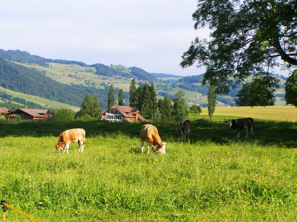 idylle rurale près de Schubhus devant Bluemnstein