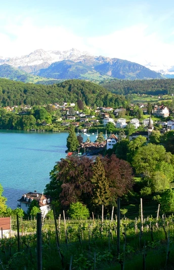 Spiezer Bucht vom Rebberg aus