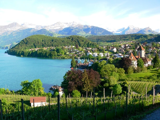 Spiezer Bucht vom Rebberg aus